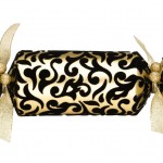 Christmas Cracker - Studio Shoot