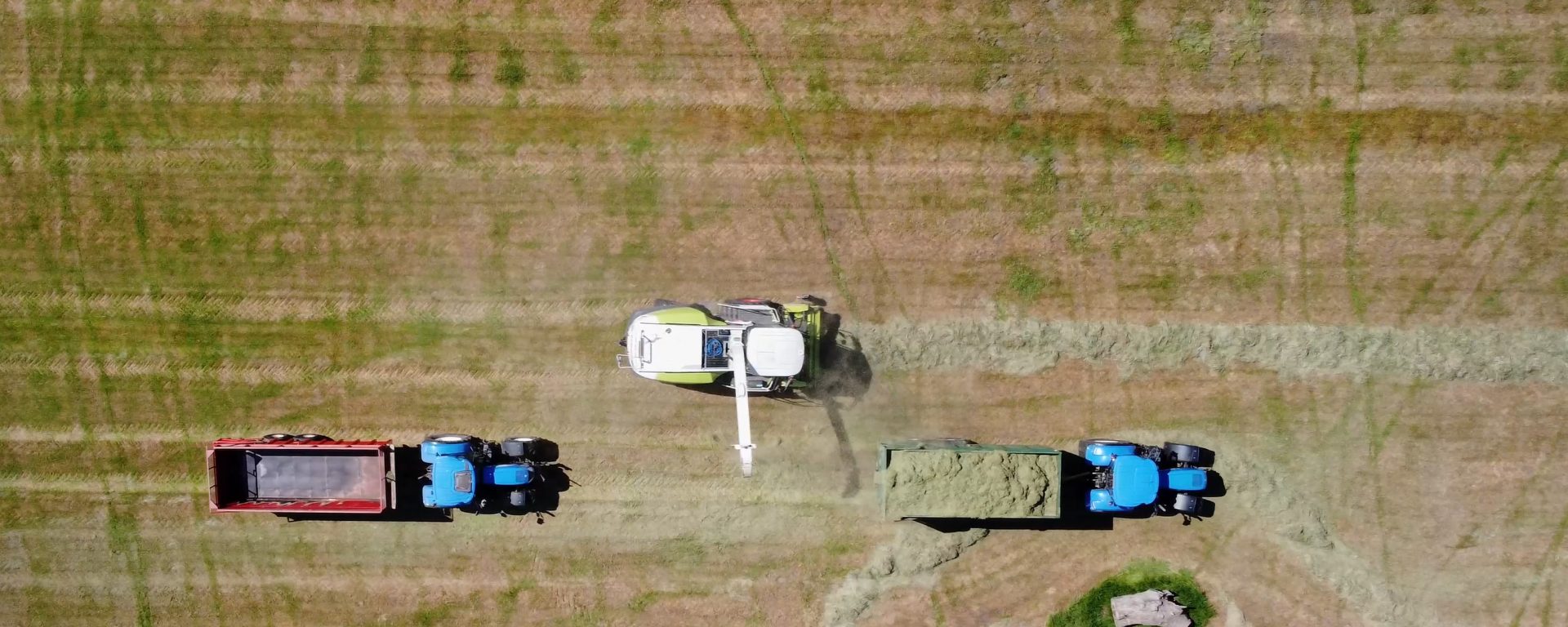 Combine Harvesters at Aske Hall